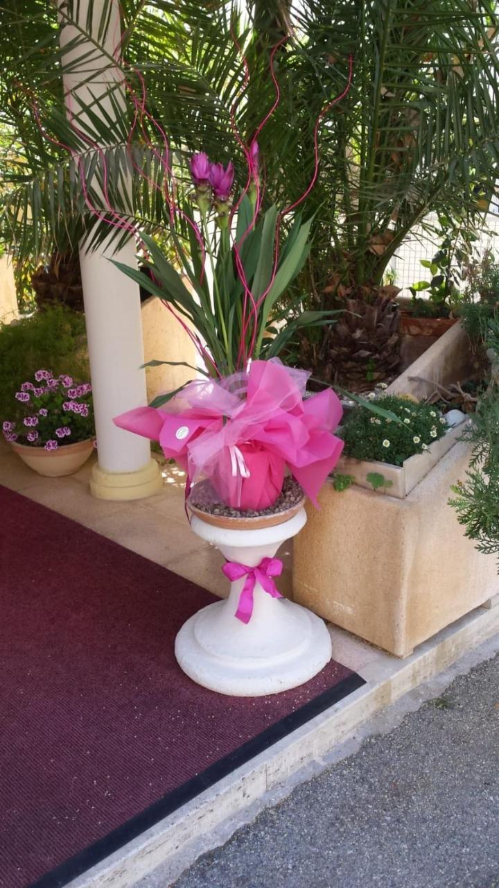 Hotel Tulipe Nazionale Ριτσιόνε Εξωτερικό φωτογραφία